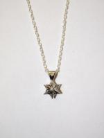 blutenblatt 【先行予約7月入荷商品】Hexagram Corona Amulet Necklace-SILVER-